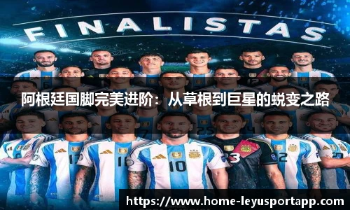 乐鱼体育app